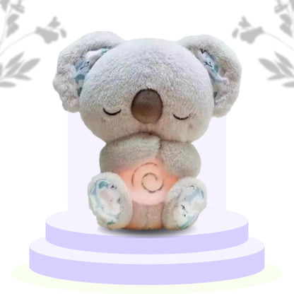 The Calm Koala