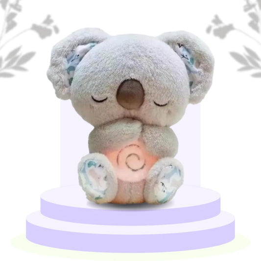 The Calm Koala