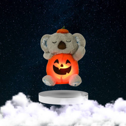 The Calm Pumpkin Koala