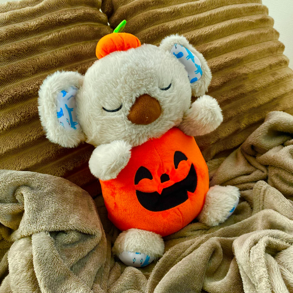 The Calm Pumpkin Koala