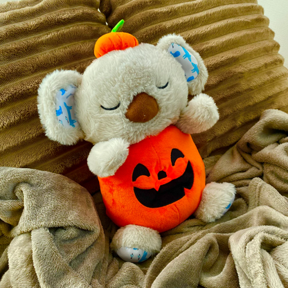 The Calm Pumpkin Koala